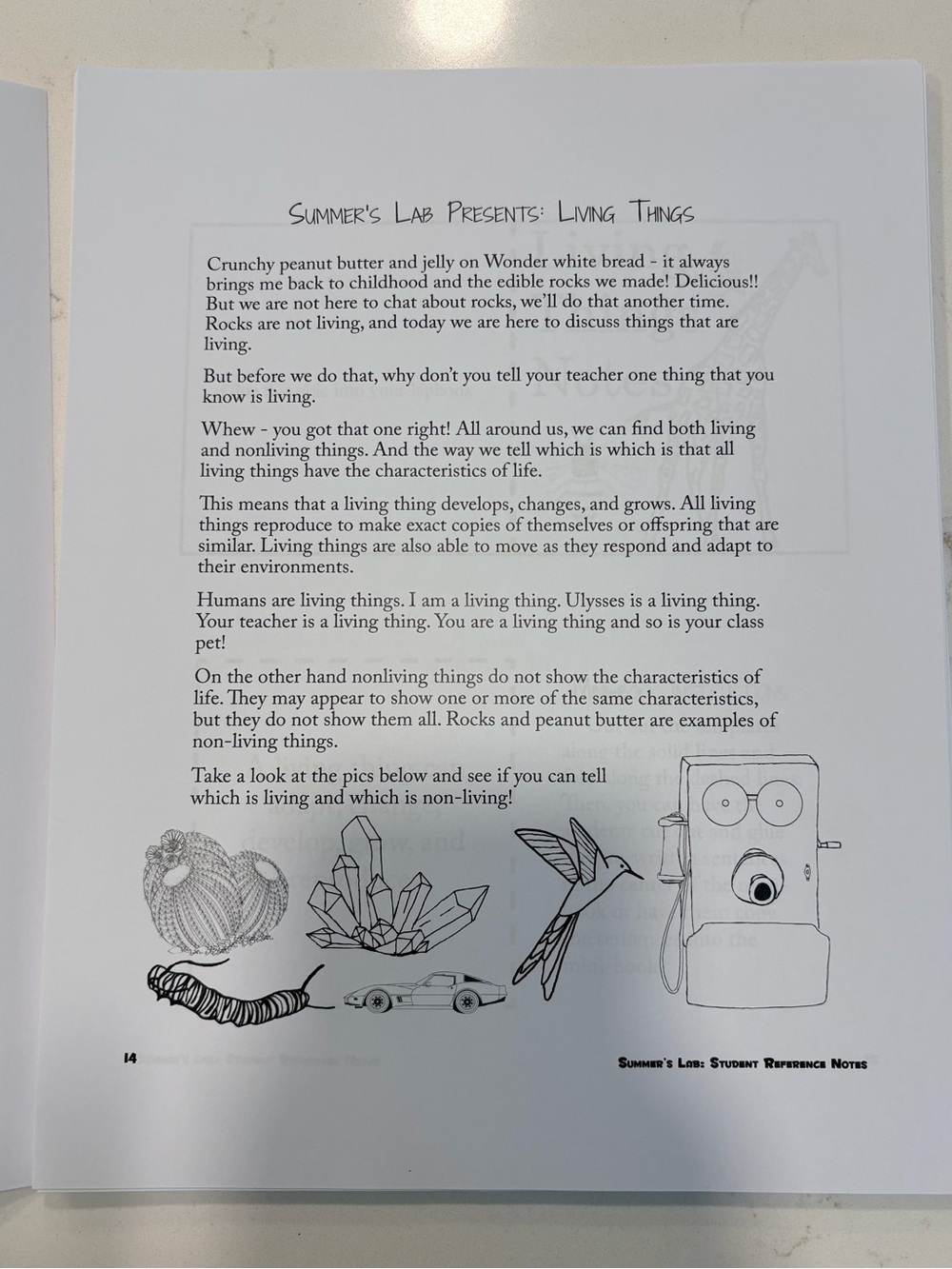 Summers Lab Learning Notes - Picture 4 of 9
